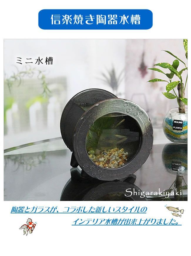 信楽焼 2色から選べる 金魚鉢 メダカ鉢 アクアリウム ガラス