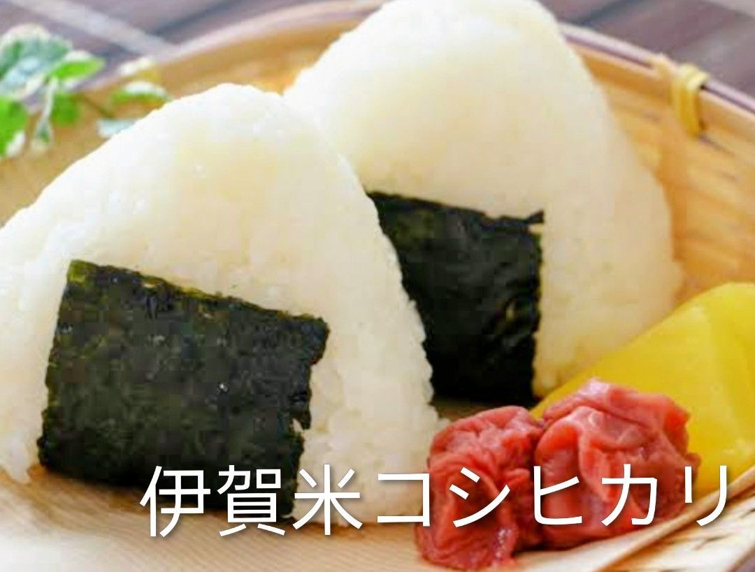 7年度産伊賀米コシヒカリ精米10キロ