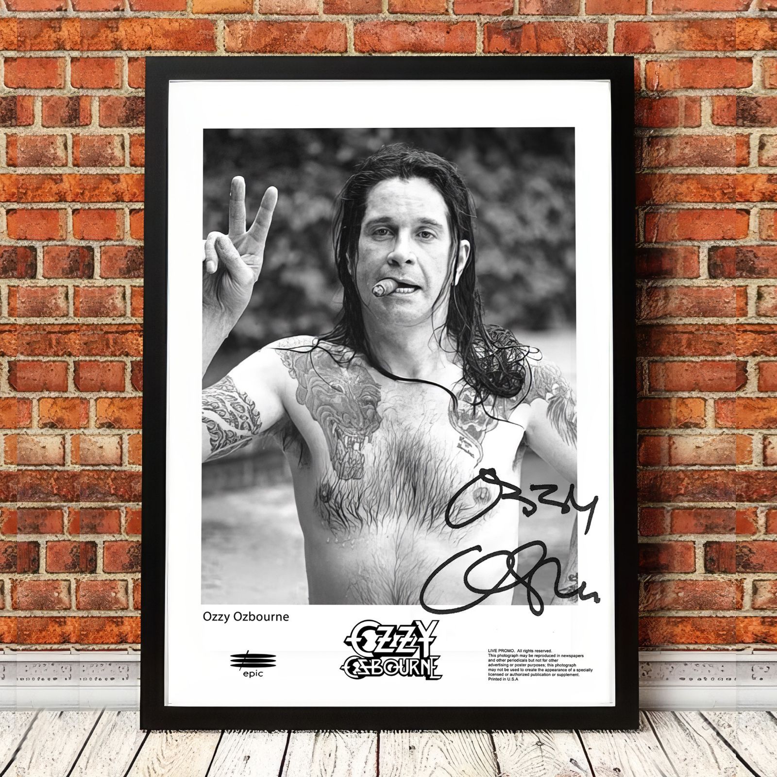 オジー・オズボーン Ozzy Osbourne 限定フレーム コレクション 2 Osbourne, Ozzy - Blizzard of Ozz (Mlps) - Amazon.com Music