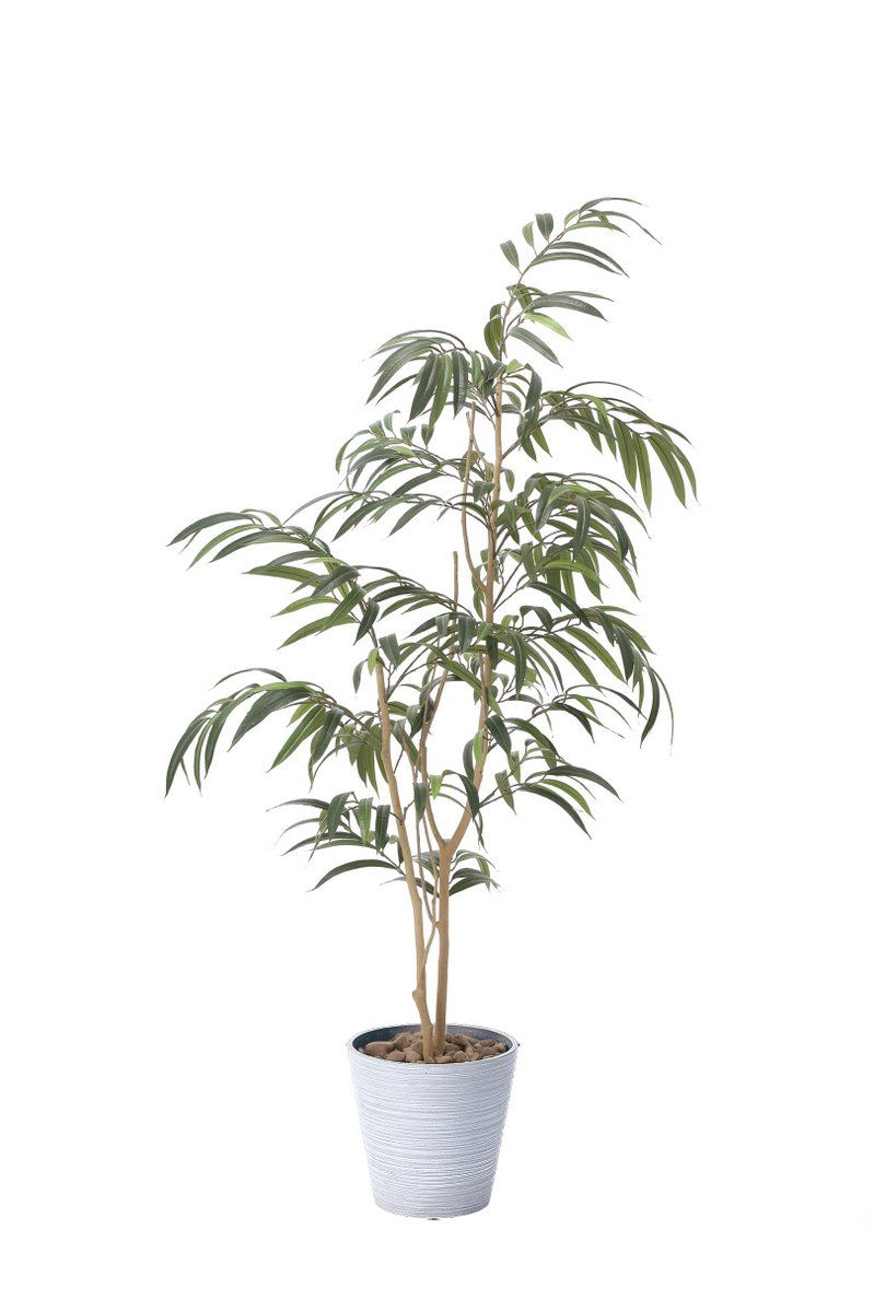 光触媒観葉植物 ショウナンゴム1.8〔フロアタイプ(ハイサイズ)〕/光触媒 観葉植物 ウンベラータ フェイクグリーン 花 胡蝶蘭 開店祝い 開業祝い 誕生祝い 造花 アートフレーム おしゃれ 飾る