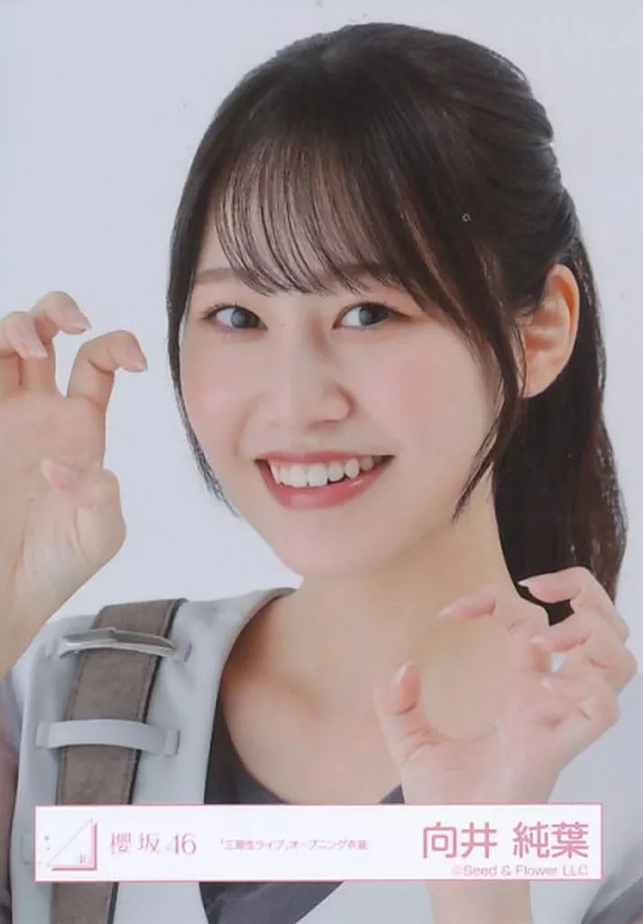 中古】生写真(乃木坂46) 櫻坂46/向井純葉/バストアップ/櫻坂46ランダム