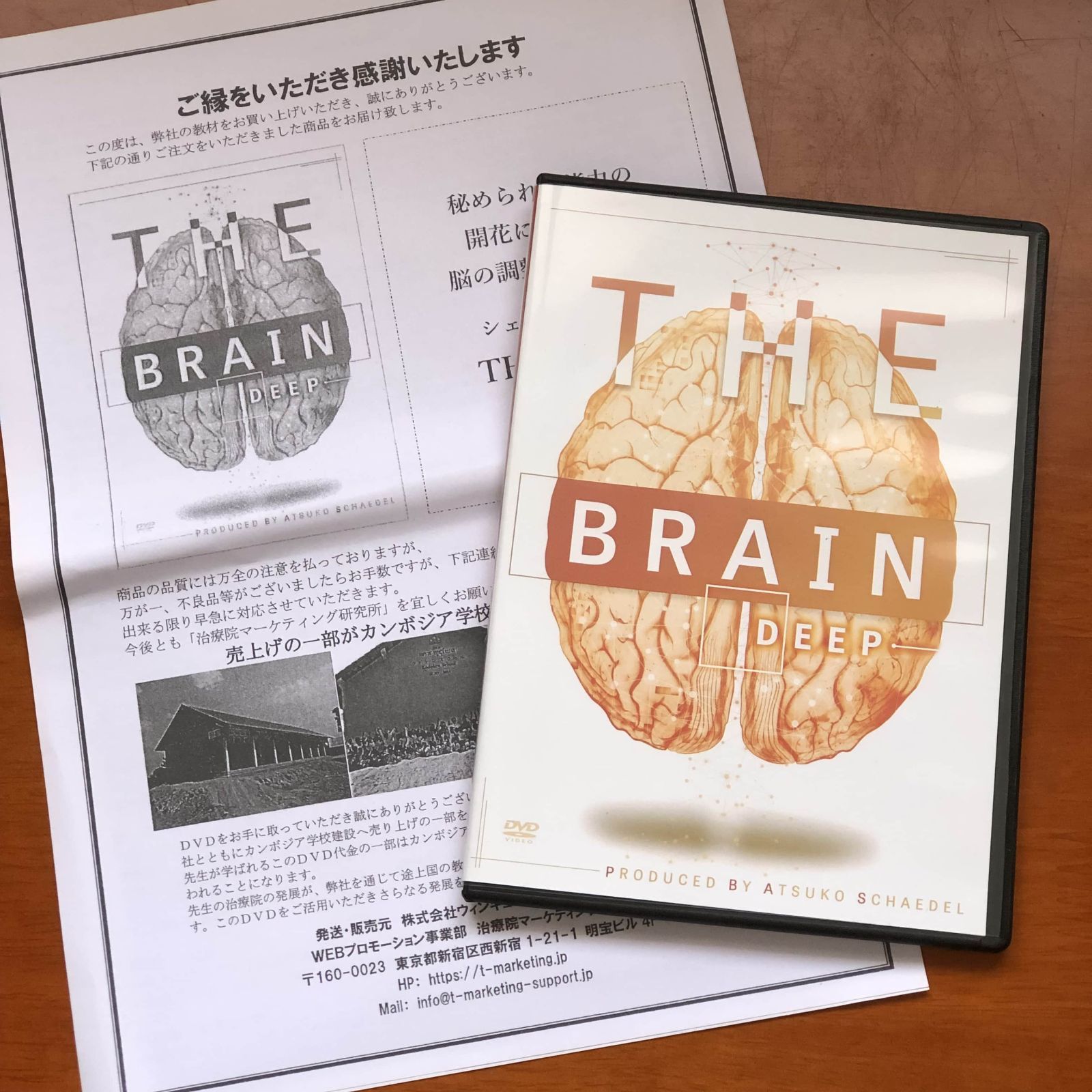 シェイデル敦子の「THE BRAIN-最先端の脳科学プログラム-」 シェイデル敦子先生の【THE BRAIN-最先端の脳科学プログラム