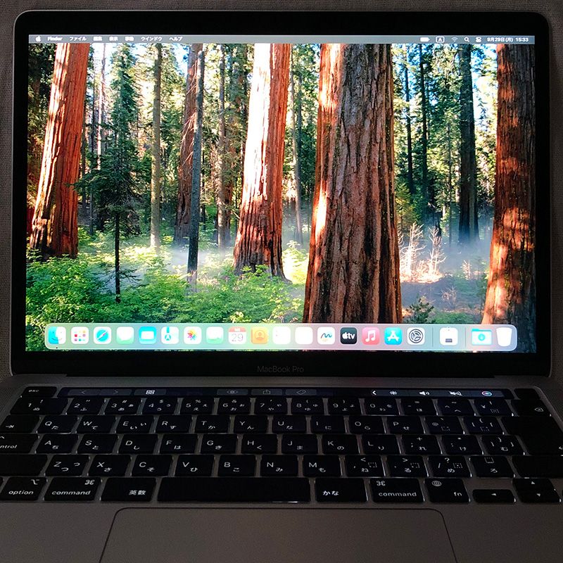 本体のみ】Apple MacBook Pro (13インチ M1 2020)【M1チップ