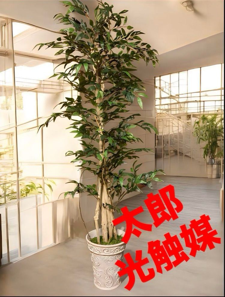 光触媒 人工観葉植物 ウォールグリーン フェイクグリーン イタリアンベンジャミン17075