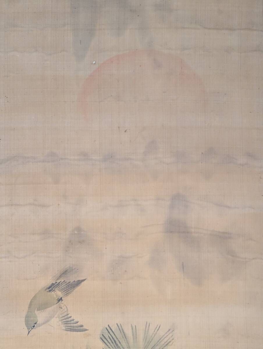 真作 掛軸 松村景文 松に小禽図 朝日を背に舞う優雅な情景 T141