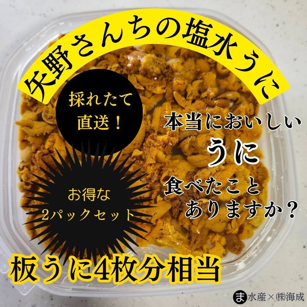 矢野さんちの塩水うに 生うに 2パックセット ６月下旬発送