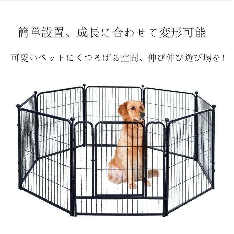 犬