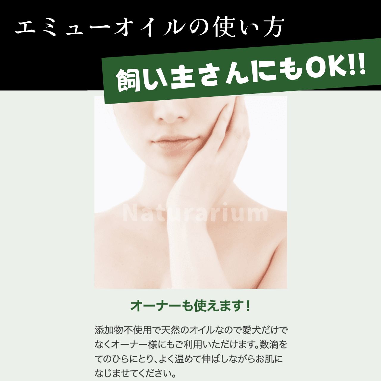 リニューアル 40ml