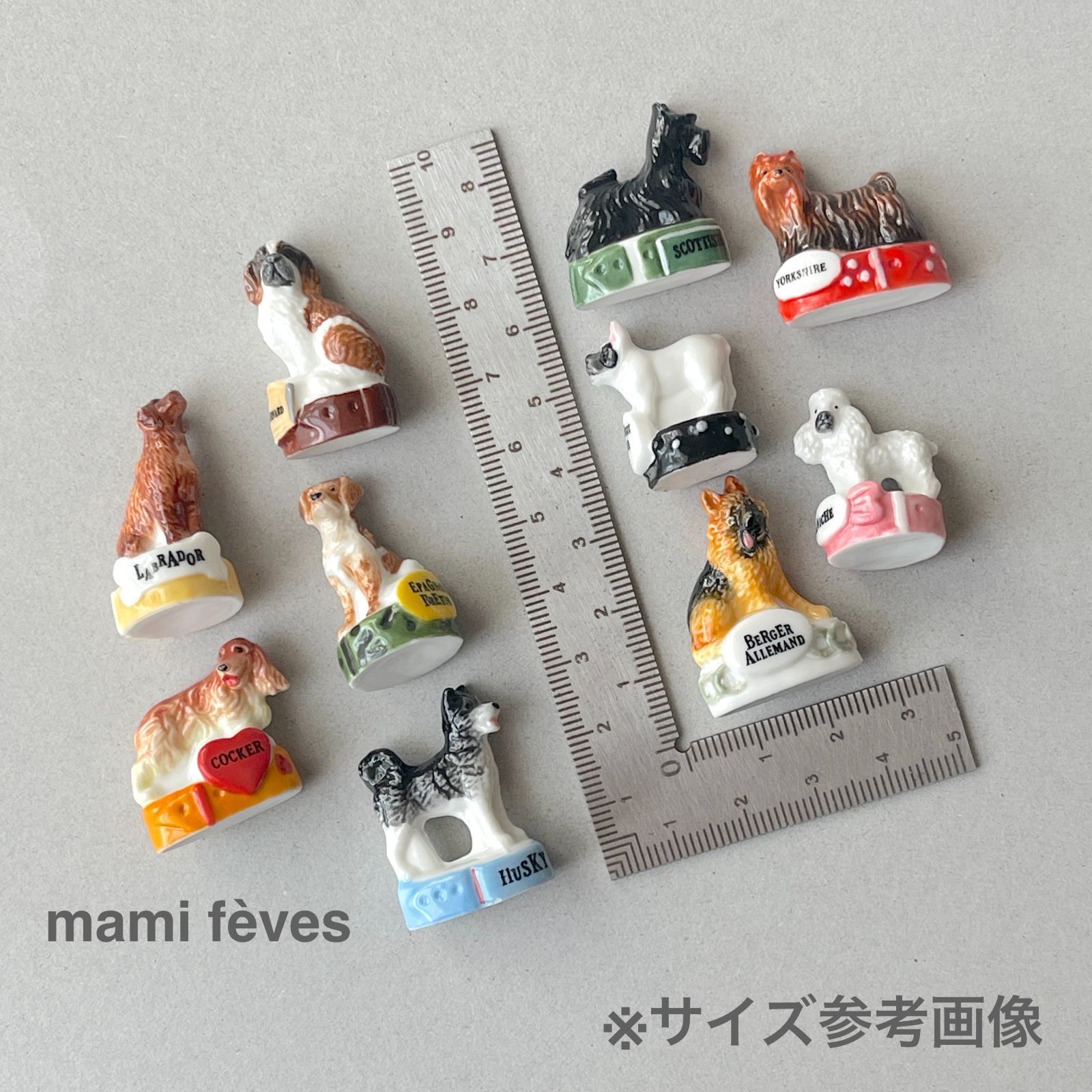 フェーヴ スコティッシュテリア 犬たち フランス フェーブ ミニチュア