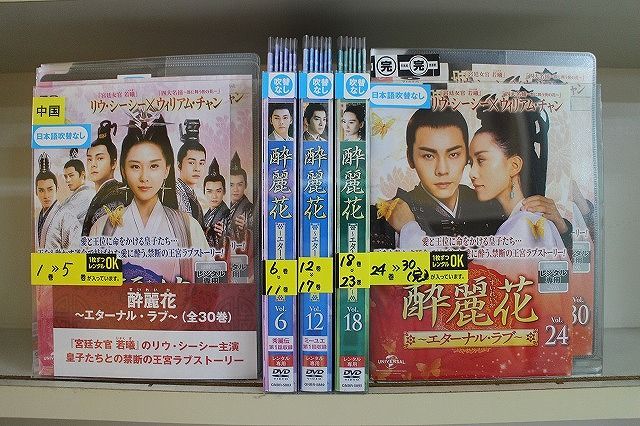 ファン・ジョンウム★リュ・スヨン『果てしない愛』レンタル落ちDVD★全巻 ファン・ジョンウム☆リュ・スヨン『果てしない愛』レンタル落ち