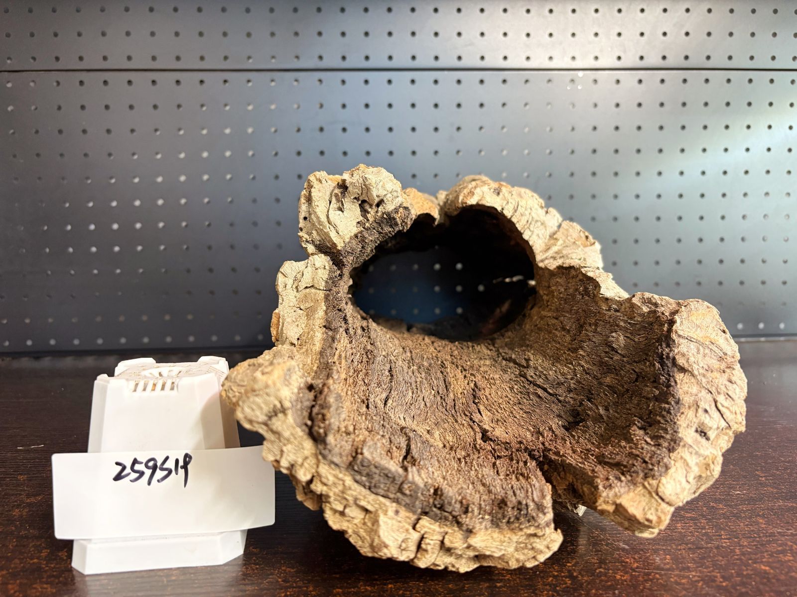 改良版入荷！ 259S19 ポルトガル産 キャノンコルク コルク樹皮 コルク板 バージンコルク 送料無料 チランジア ビカクシダ 着生ラン 両生類 爬虫類 2度着用