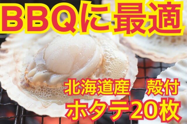 【BBQやパーティーに】北海道産片貝ホタテ 加熱用 塩焼き バター焼き 冷凍-0