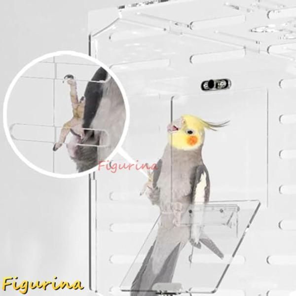 ゲームキャラクター okameinko 鳥かご 鳥ケージ バードケージ 大きい 鳥小屋複数飼い