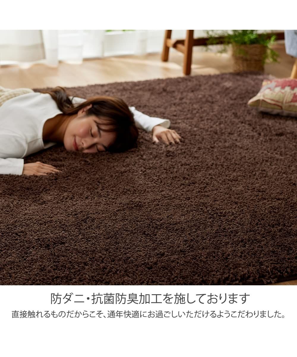 ニッセン ラグ 洗える防ダニ 抗菌防臭シャギーラグ ブラウン 約185×185cm MARWIL-DEMENAGEMENTS_CH