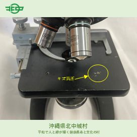 OLYMPUS顕微鏡 MODEL