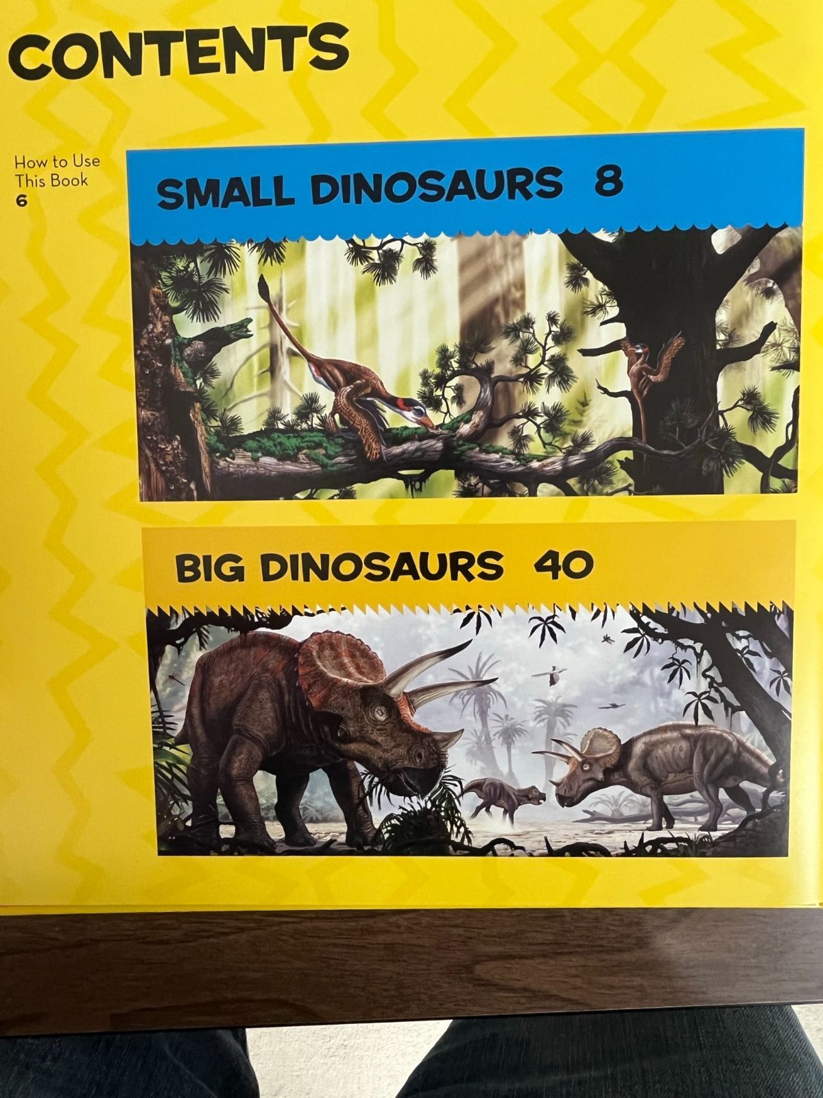 National Geographic Little Kids First Big Book of Dinosaurs