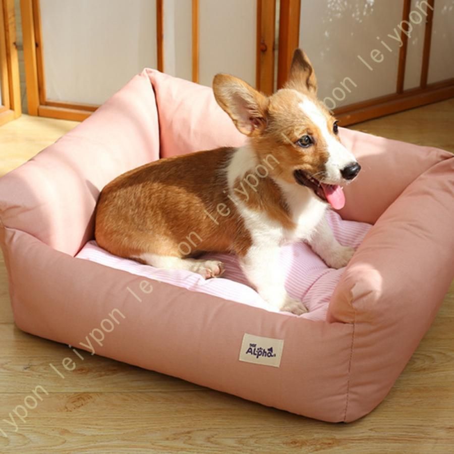 小型犬