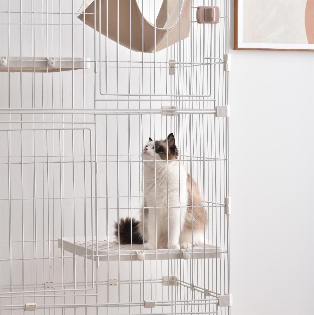 多頭飼い