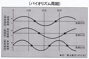 入手困難！残り僅か！】政木式 バイオリズム計 工学博士 政木和三