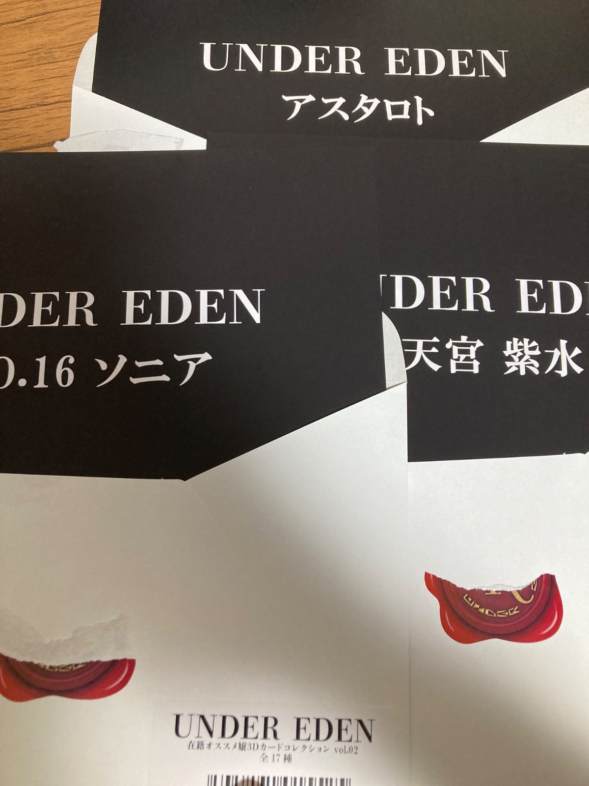 対魔忍 大島　雫　アンダーエデン公式グッズ 在籍オススメ嬢3Dカードコレクション アンダーエデン公式グッズ 在籍オススメ嬢3Dカードホルダー vol