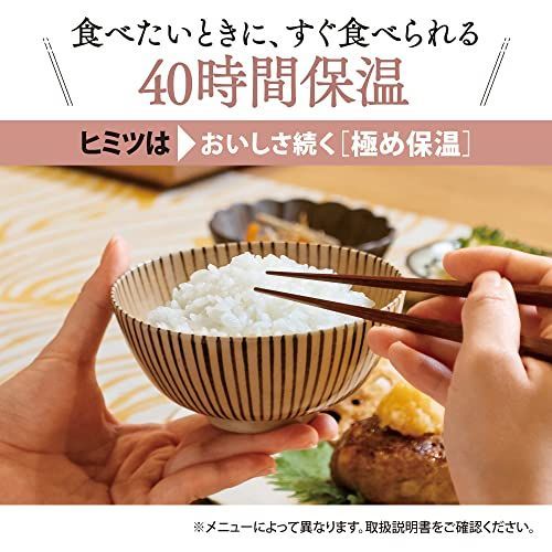 象印 炊飯器 5.5合 圧力IH式 極め炊き 鉄器コートプラチナ厚釜 保温40