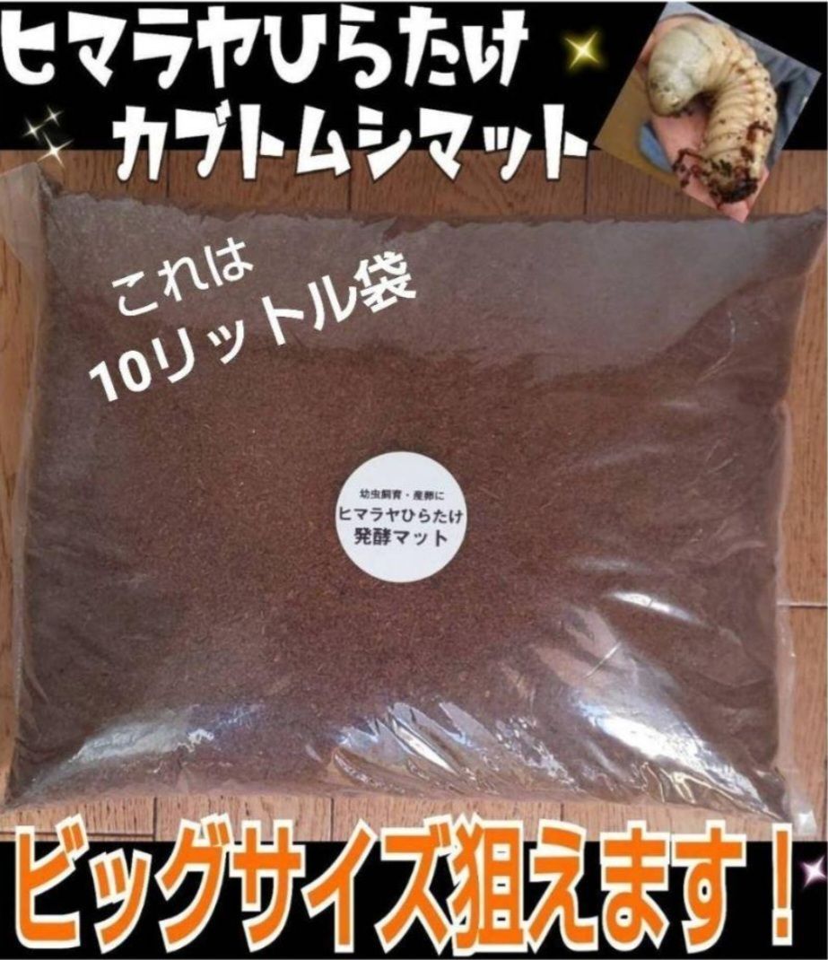 幼虫が丸々太ります！80リットル☆ヒマラヤひらたけ発酵カブトムシマット栄養価抜群 送料無料！80リットル ヒマラヤひらたけ発酵カブトムシマット