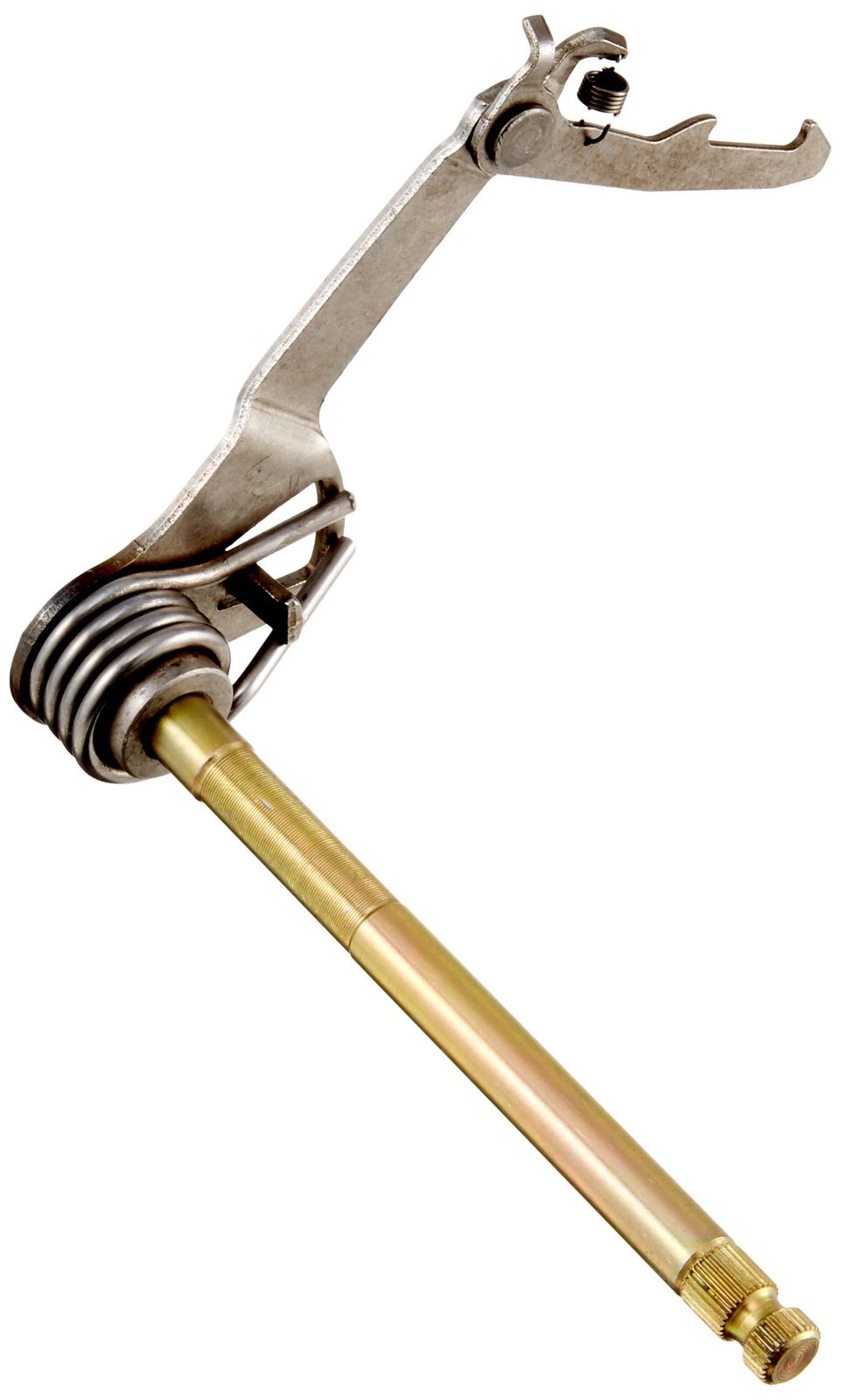 ⑦ソテツ 奄美大島 耐寒性 85 ソテツ子株付 奄美大島 【耐寒性】 奄美