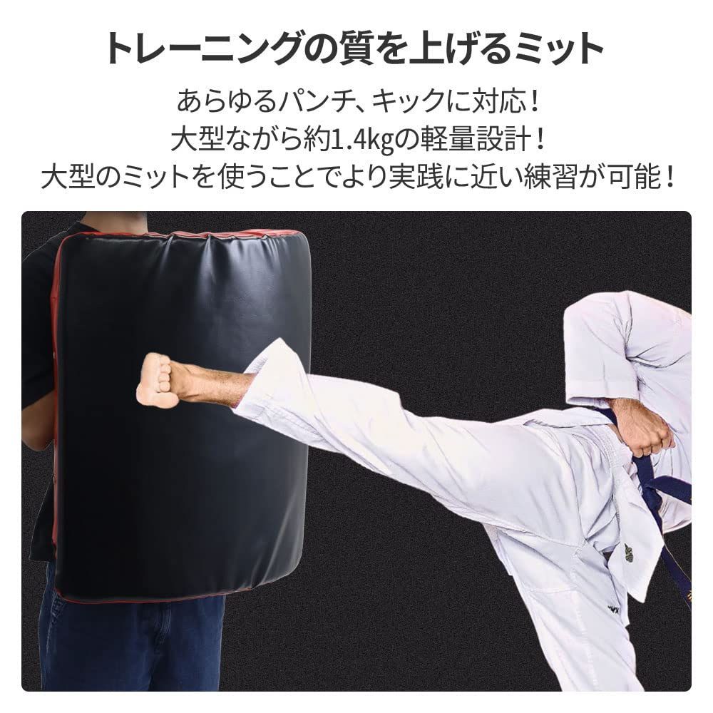 ボディ 空手 ミット キックミット ペア キックボ 空手 格闘技 レーザー