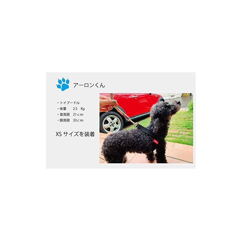 Mサイズ 犬