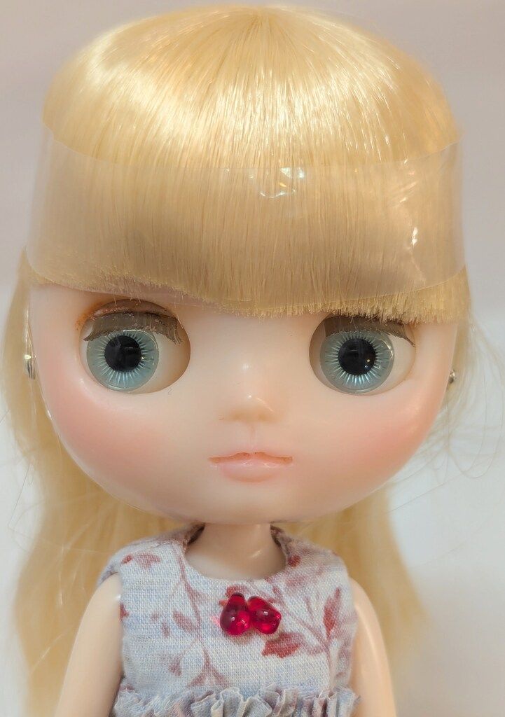 カスタムミディブライス 元ドールペブルケーキ-シュリンキングアリス STEELWINDOWSANDDOORS_COM