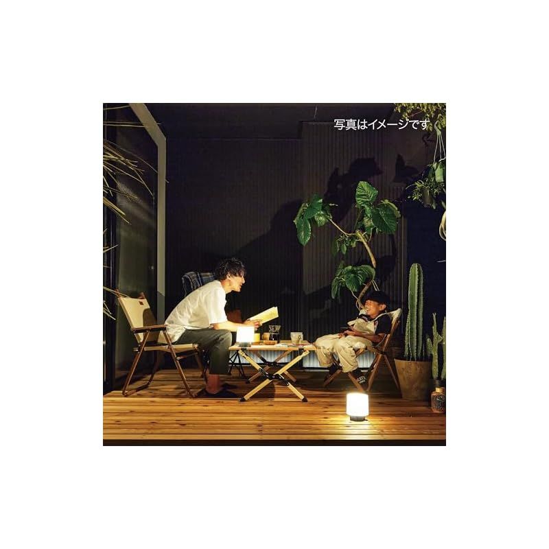 タカショー ガーデンライト