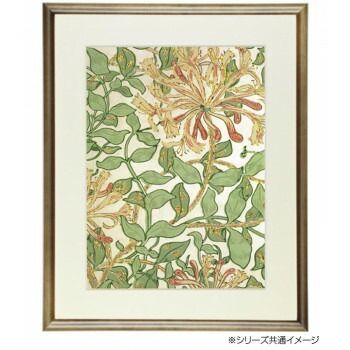大衣509×394