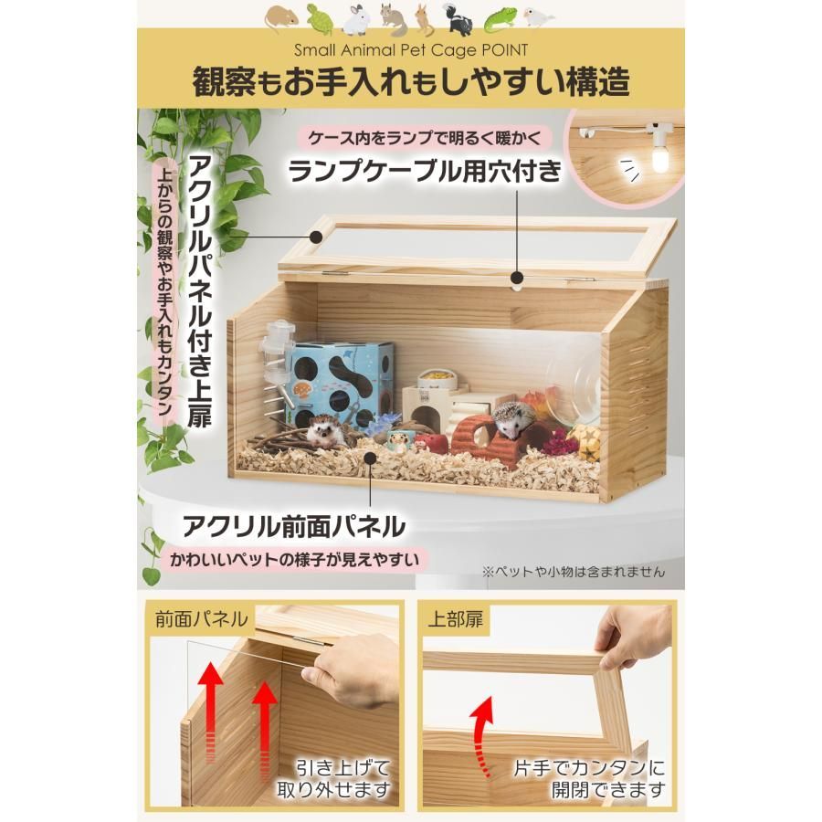 トカゲ