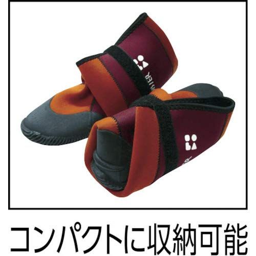 フェス