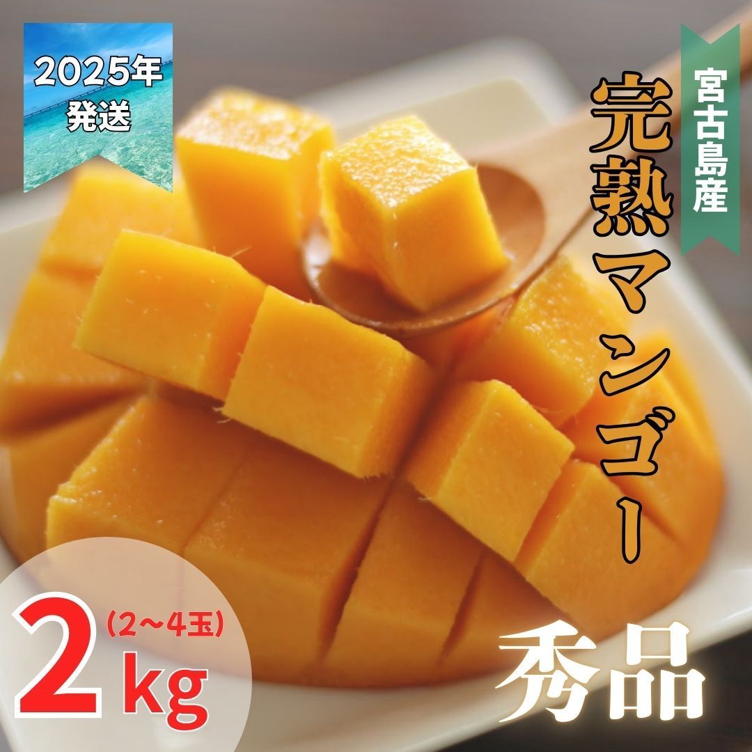 厳選 4L特大玉 赤秀品【宮崎県産 完熟マンゴー】2玉 最大級の 超大玉4L玉 厳選 4L特大玉 赤秀品【宮崎県産 完熟マンゴー】2玉 最大級の 超大玉4L