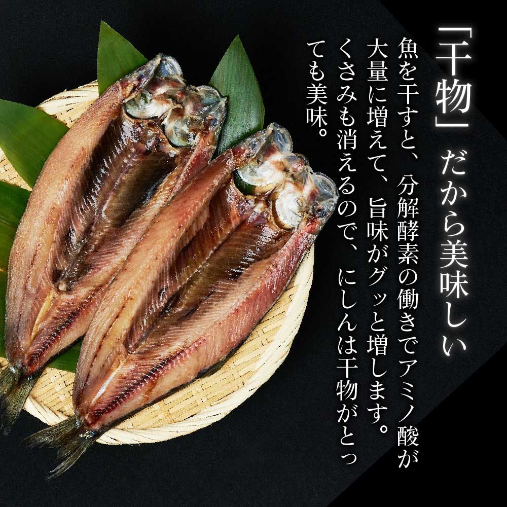 遅れてごめんね