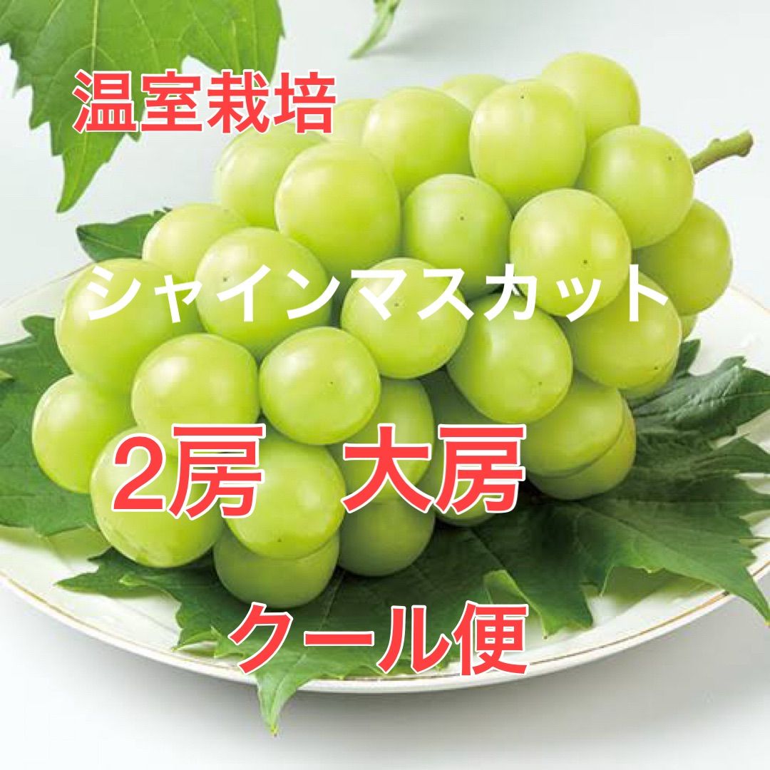 山梨産直　温室シャインマスカット2房クール便