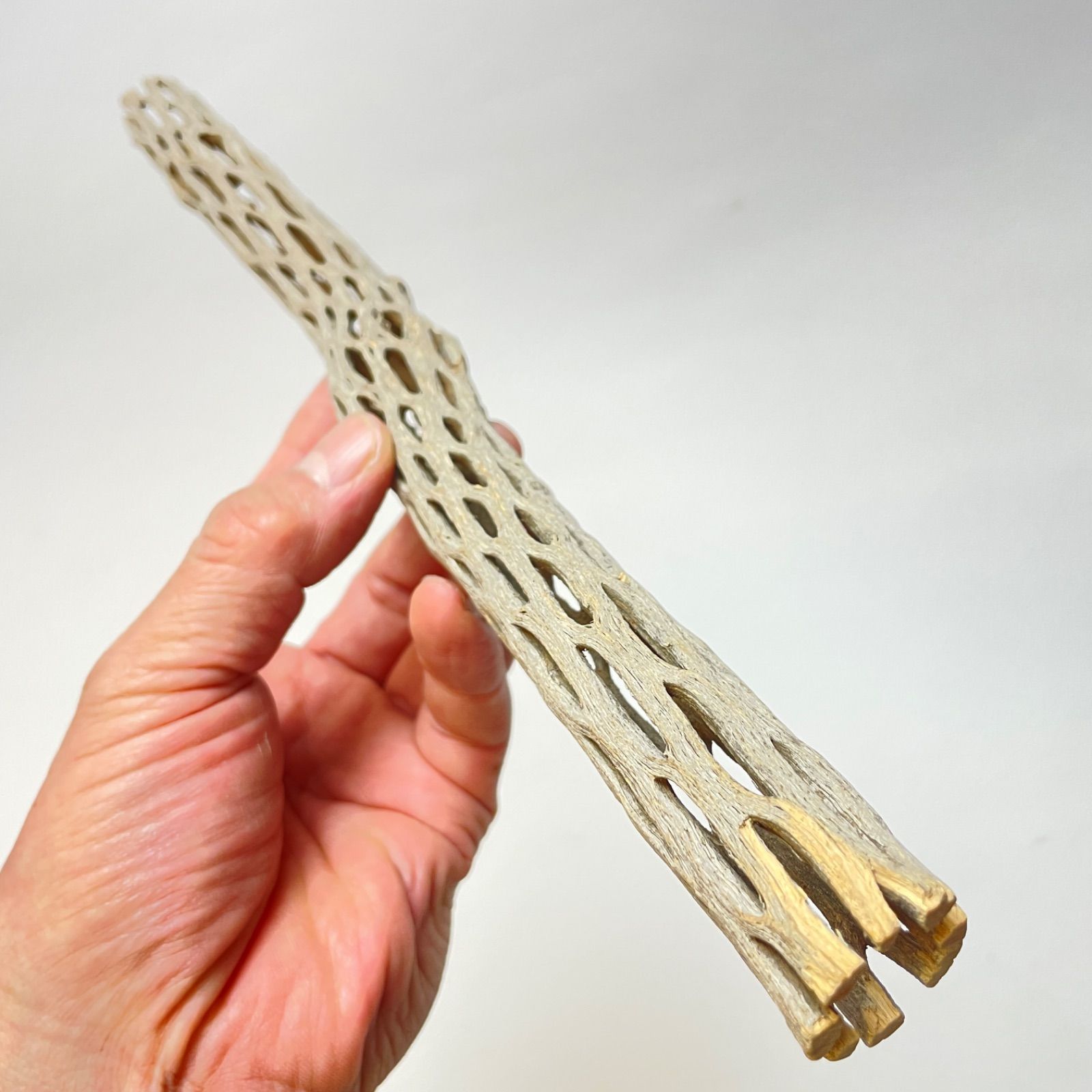 鳥用品　カクタス　スケルトン　パーチ　おまとめNo.212、No.133 鳥用品 カクタス スケルトン パーチ おまとめNo.212、No.133
