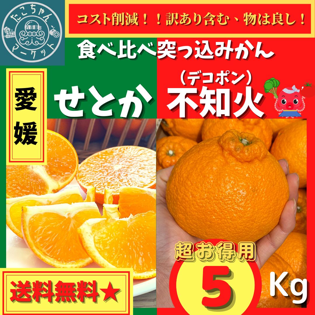 ☆食べ比べ突っ込みかん】愛媛県産 不知火×せとか 5kg - メルカリ