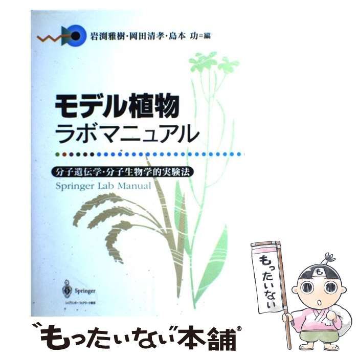 モデル植物ラボマニュアル 分子遺伝学・分子生物学的実験法/シュプリンガ-・ジャパン/岩淵雅樹（単行本） モデル植物ラボマニュアル 分子遺伝学・分子生物学的実験法