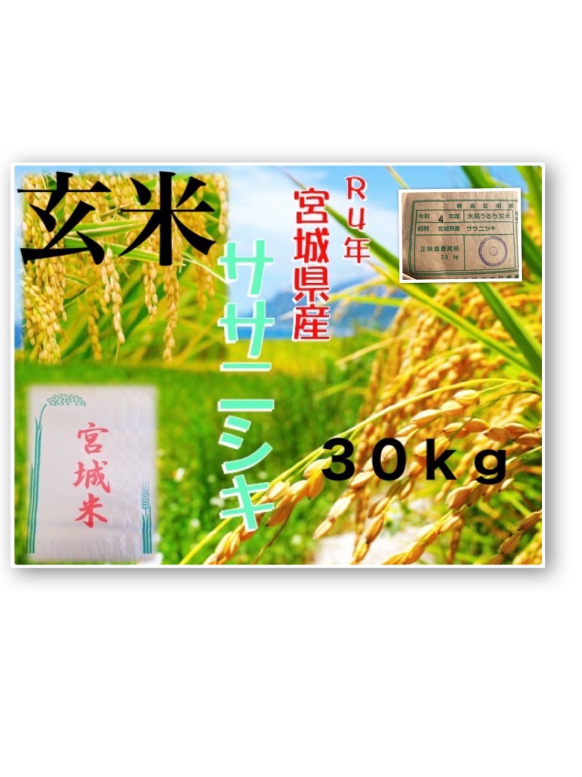 石川県産 玄米 30kg 1等米 30年産