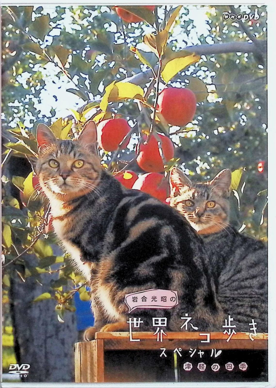 (未使用･未開封品)岩合光昭の世界ネコ歩き スペシャル 津軽の四季 ブルーレイ Amazon.co.jp: 岩合光昭の世界ネコ歩き 沖縄 ブルーレイ【NHK