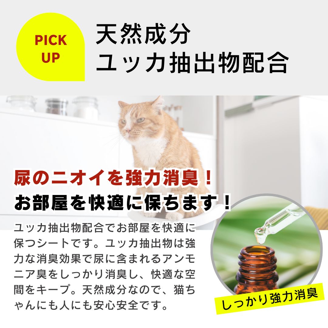 まとめ買い 多頭