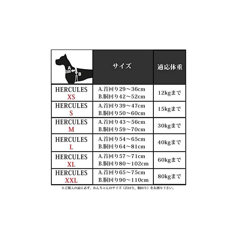 適応体重60kgまで