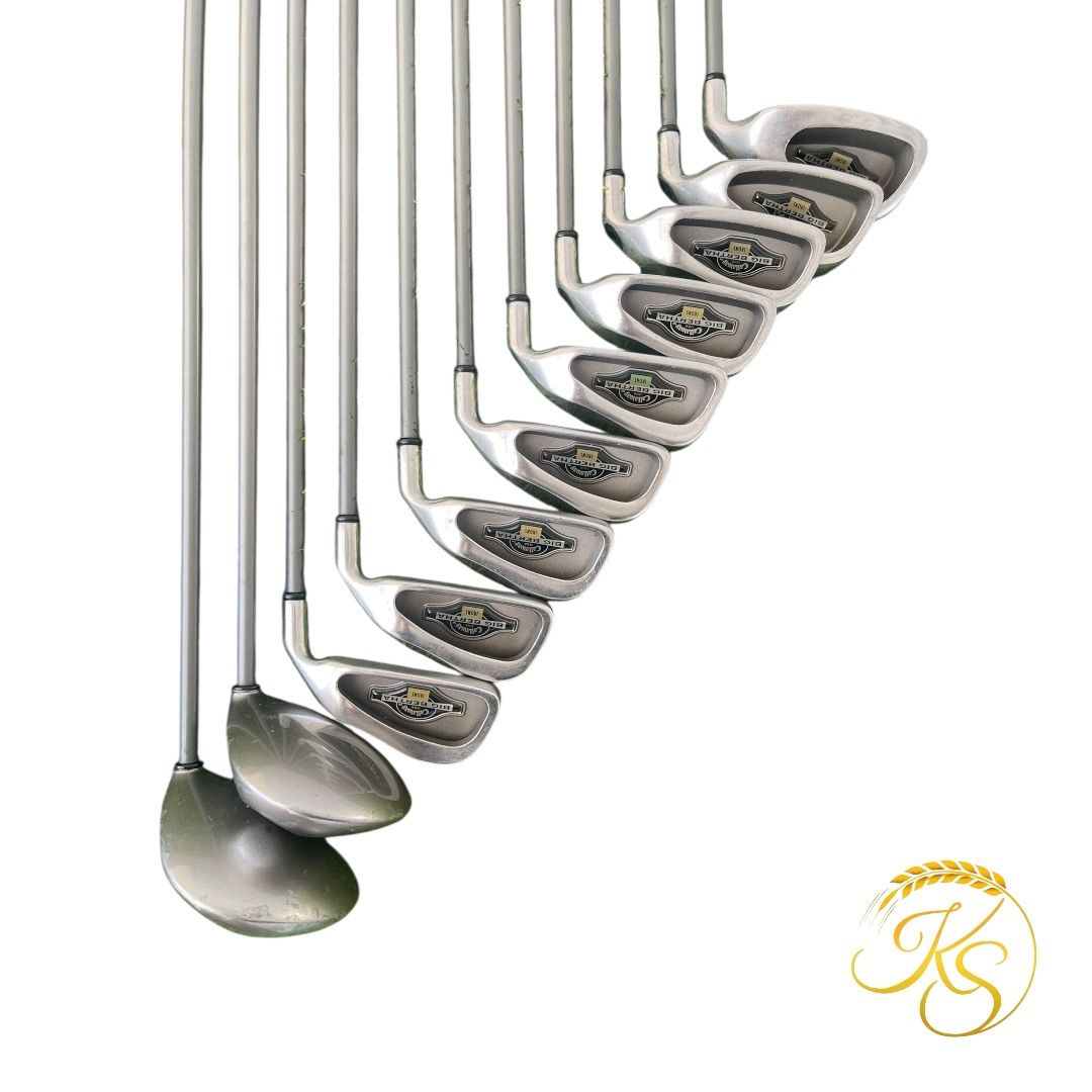 キャロウェイ ゴルフクラブ 9本 右 Callaway BIG BERTHA WAR BIRD