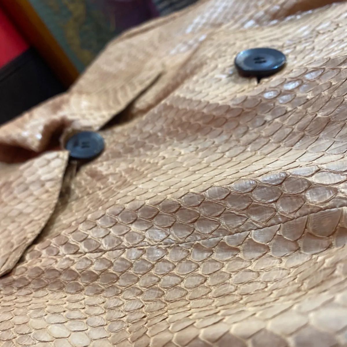 セレブ愛用ブランド⭐︎LOEWE ロエベ ジャケット リアルパイソン ヘビ 