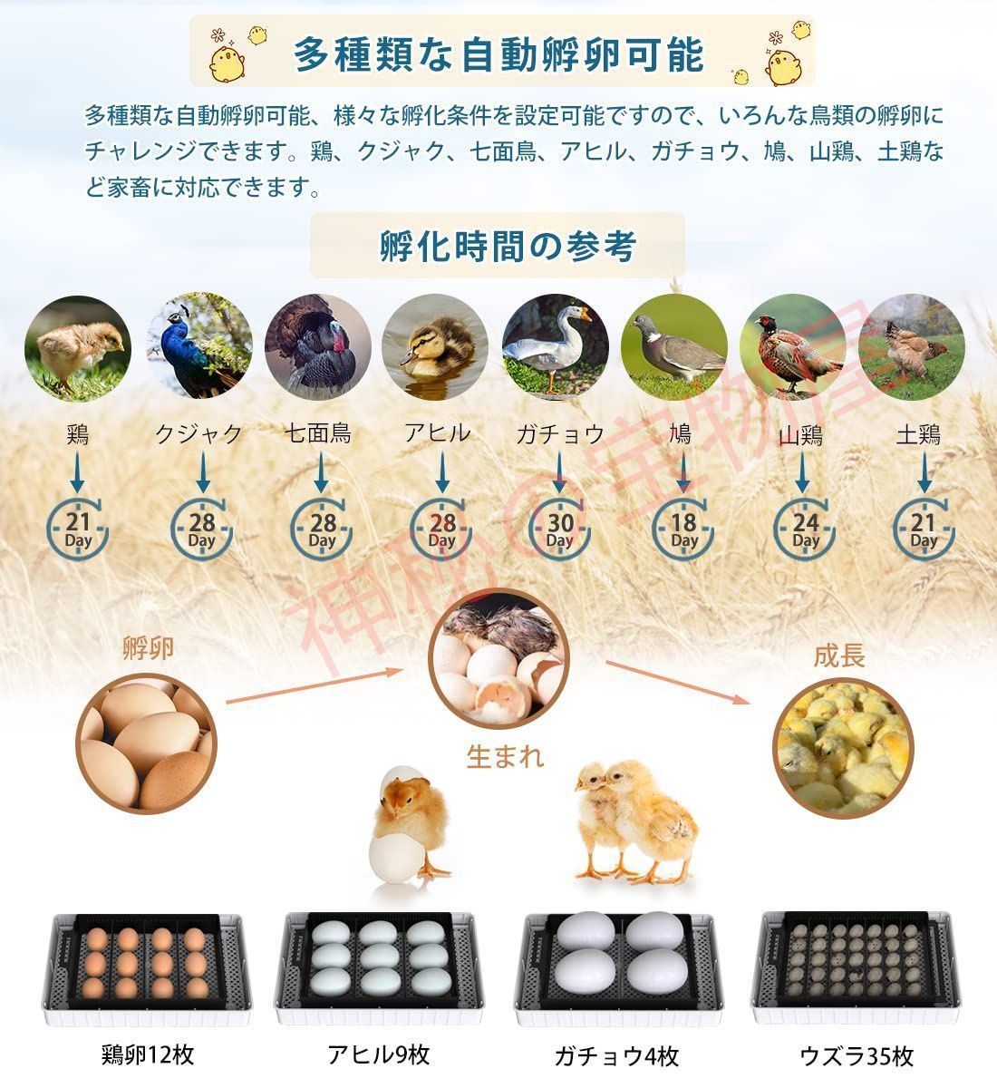 大容量 自動温度制御