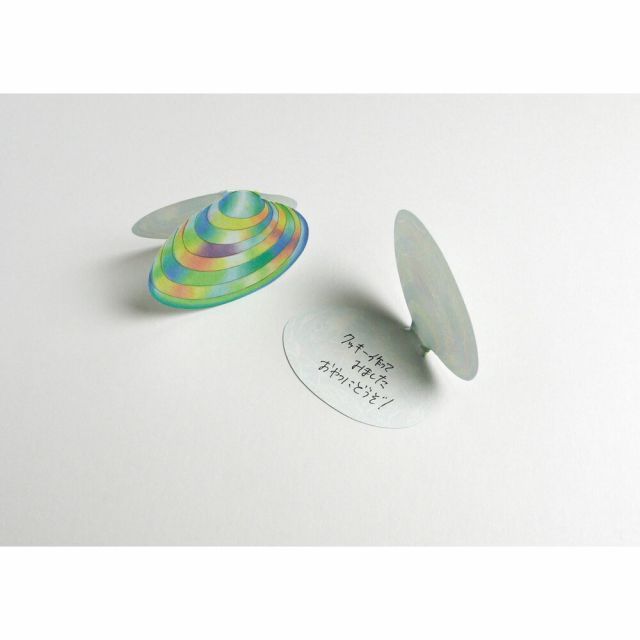 貝殻 ×20セット