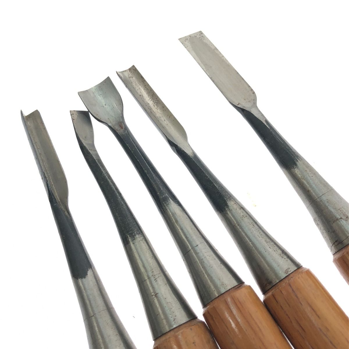 のみ5本セット