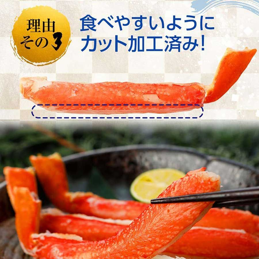 ハーフポーション 爪